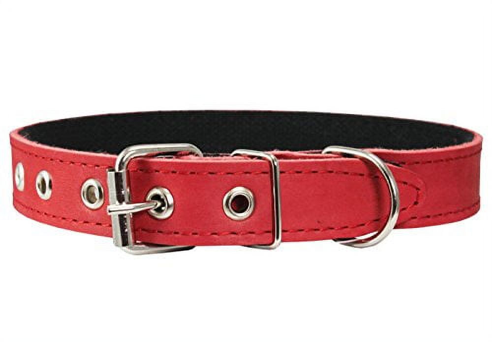 Amazon.com : Genuine Leather Braided Dog Collar, Brown 1.5