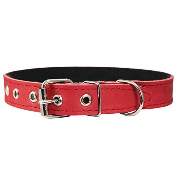 Genuine Leather Dog Collar, Cotton Padded, 1" Wide. (Neck Circumference: 19.5"-23", Red)