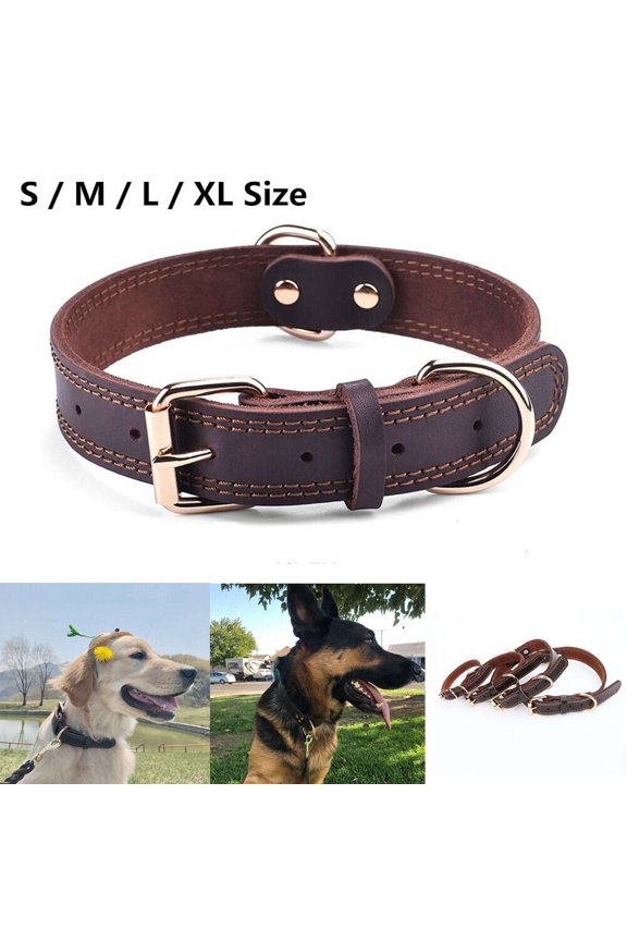 Genuine Leather Dog Collar Durable Alloy Hardware for Medium Extra Large Dogs, M