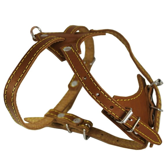 Genuine Leather Dog Harness, 16.5'-20' Chest size, 1/2' Wide, Boston Terrier