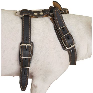 Dogs My Love Genuine Leather Dog Harness | Medium/Large | Adjustable 25-32 Inch Chest | Brown Pulling Harness