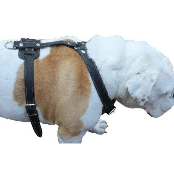 Genuine Leather Dog Harness, 37"-45" Chest, 1" Wide Straps. XXLarge. Newfoundland, Great Dane