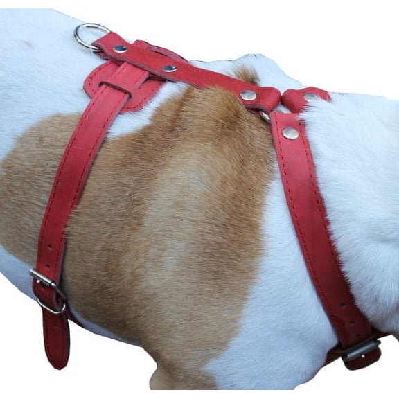 Genuine Leather Dog Harness, 37"-45" Chest, 1" Wide Straps. XXLarge. Newfoundland, Great Dane