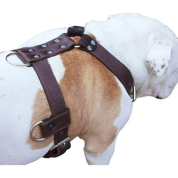 Genuine Leather Dog Harness Brown X-Large 33"-40" Chest, 1.3" Wide Adjustable Straps