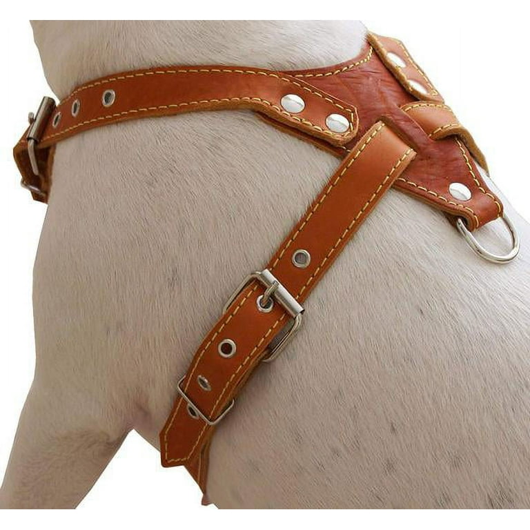 Pit Bull Gear™ Custom Leather Dog Collars & Harnesses, USA