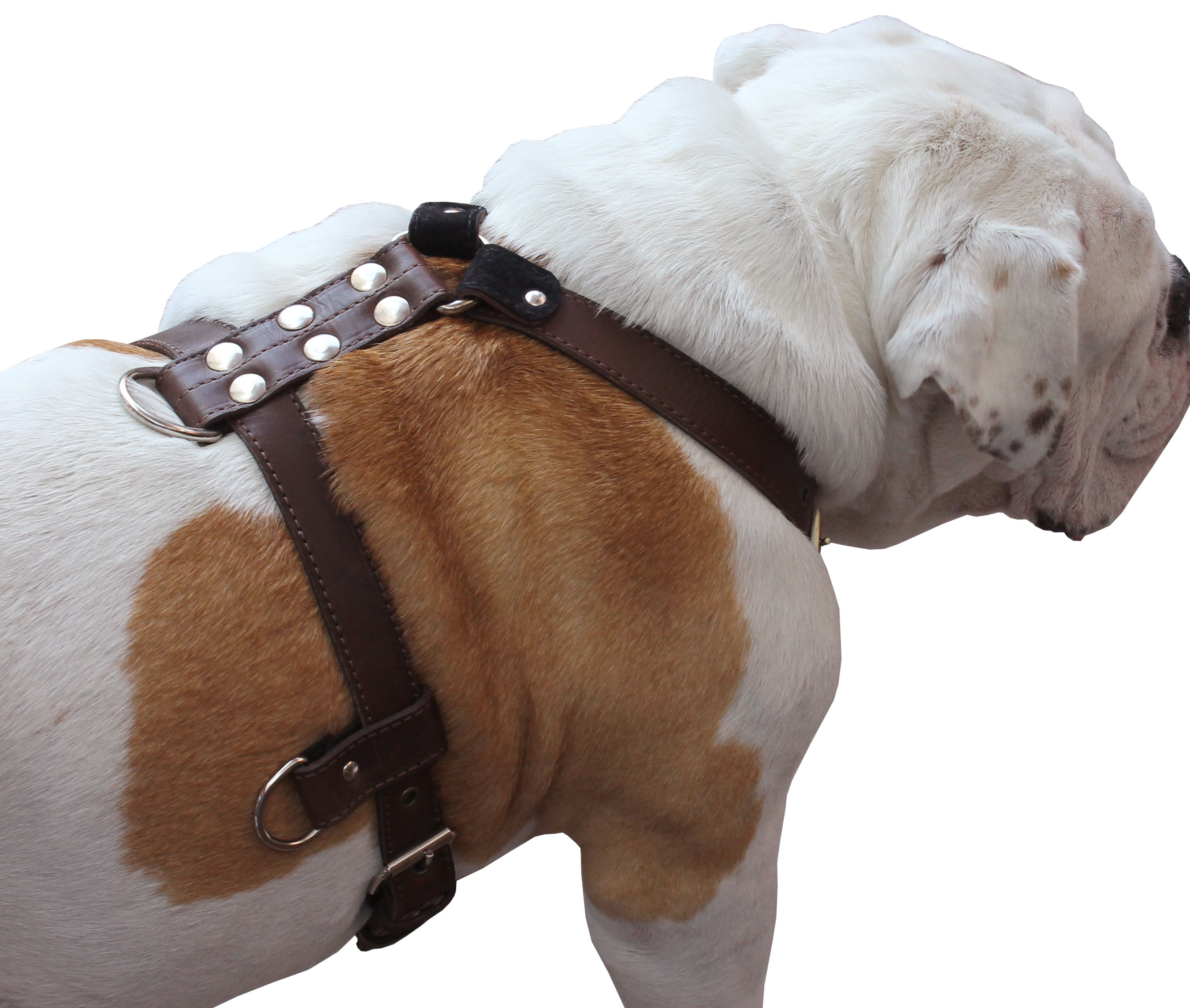 Genuine Leather Dog Harness Medium to Large 25"-32" Chest, 1" Wide Adjustable Straps (Brown)
