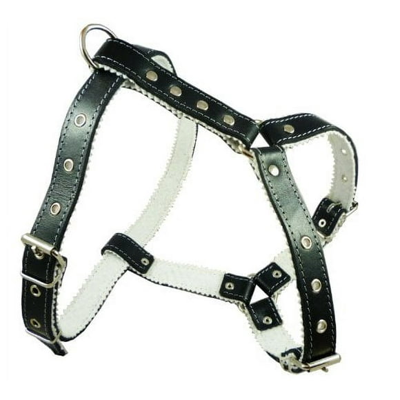 Genuine Leather Dog Harness Padded, Fits 17" - 21" Chest, Poodle, Boston Terrier
