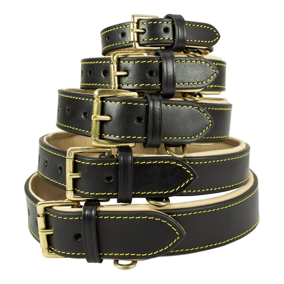 Genuine Leather Padded Dog Collar - Handmade Best Full Grain Heavy Duty Collar Designer Look for Small, Medium, Large, XL & XXL Pets.