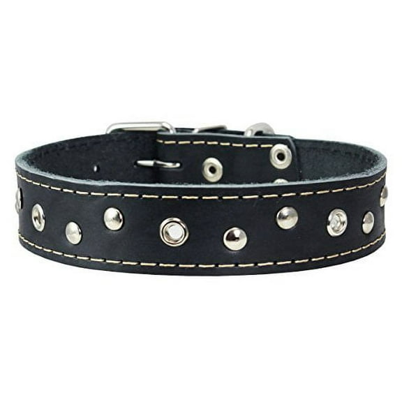 Genuine Leather Studded Dog Collar, 1.25" Wide. Fits 16"-19" Neck (Black)