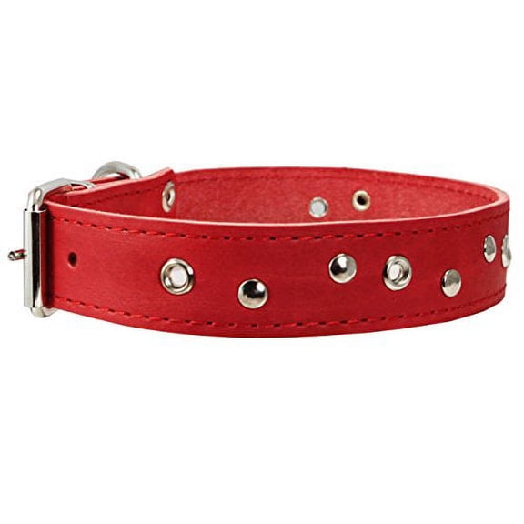 Genuine Leather Studded Dog Collar, 1.25" Wide. Fits 16"-19" Neck (Red)