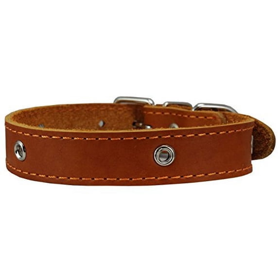 Genuine Leather Studded Dog Collar, Black, 1" Wide. Fits 13"-17.5" Neck Size (Orange)