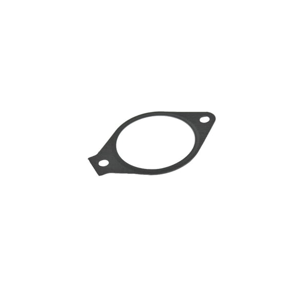Genuine Mopar Gasket-Tur - New OE - Part# 68305500AA