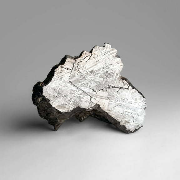 Genuine Muonionalusta Meteorite Slice (2.4 lbs)