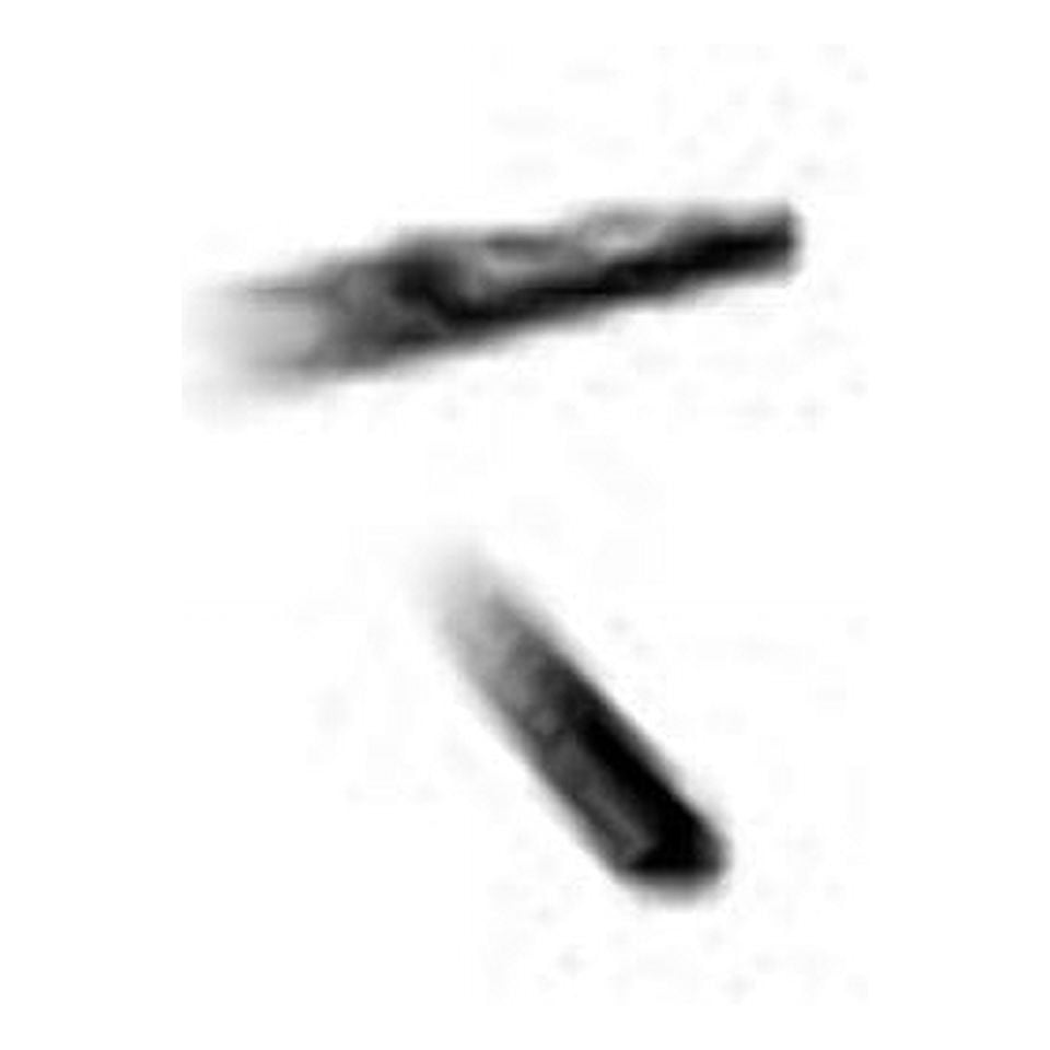 Genuine OEM Honda CRV Rubber Wiper Insert Set Front and Rear 20122016