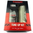 thumbnail image 1 of Genuine OEM Kawasaki Tune Up Kit (20W50) for FX751V Mower Engines / 99969-6537, 1 of 5