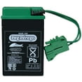 thumbnail image 1 of Genuine OEM Peg-Perego 6-Volt Battery, IAKB0509, 1 of 1