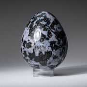 Genuine Polished Indigo Gabbro (3.5) Egg from Madagascar