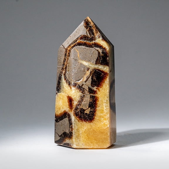 Genuine Polished Septarian Point from Madagascar (1.3 lbs)
