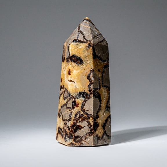 Genuine Polished Septarian Point from Madagascar (1.3 lbs)