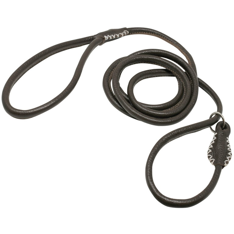 Choke collar leash 2025