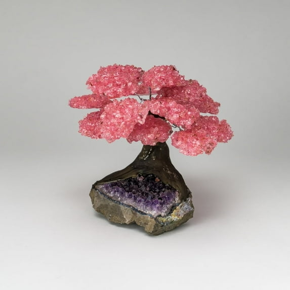 Genuine Rose Quartz Clustered Gemstone Tree on Amethyst Matrix (7 inches)(The Love Tree)