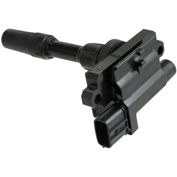 Genuine WVE Ignition Coil