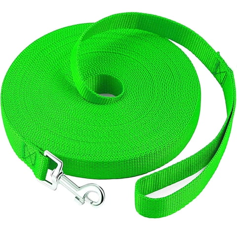 Genwiss Solid Nylon Dog Leash, Dog/Puppy Obedience Recall Training Agility Lead (100 feet, Green)