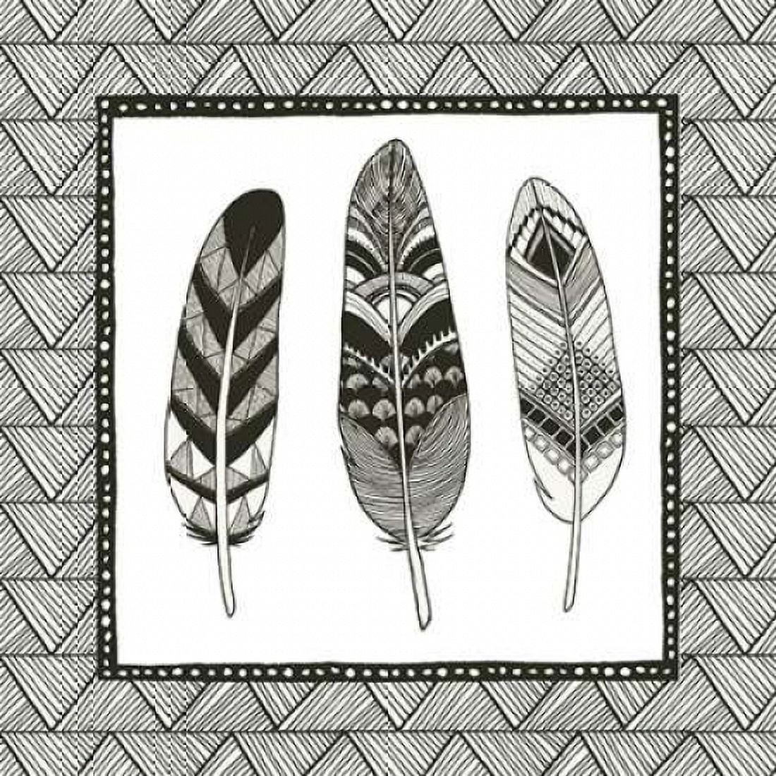 Geo Feathers IV Canvas Art - Sara Zieve Miller (24 x 24)
