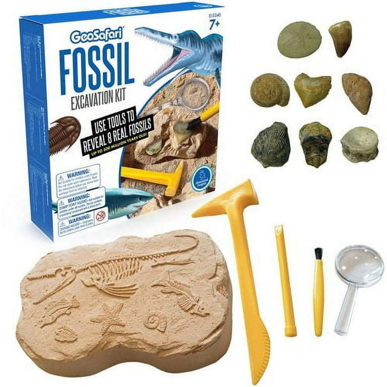 GeoSafari Fossil Excavation Kit - Theme/Subject: Fun - Skill Learning: Paleontology, STEM, Fossil - 7-12 Year - 1 Each GeoSafari Fossil Excavation Kit - Theme/Subject: Fun - Skill Learning: Paleontology, STEM, Fossil - 7-12 Year - 1 Each