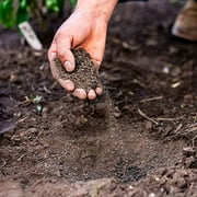 Geocharged Organic Fertilizer Biochar Plus Chicken Manure Indoor and Outdoor Plant Food, Kid and Pet Safe, No Odor for Soil, Flowers, Potted Plants, Raised Beds, Vegetable Garden, Compost, 10 lb