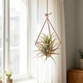 thumbnail image 1 of Geometric Air Plant Holder with Hanging Chain, Metal Hanging Tillandsia Holder, 3 Different Size Macrame Plant Holder, for Small Air Plants Indoor Garden Wall Decor, 1 of 6