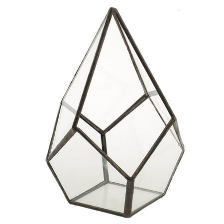 Geometric Glass Open Fern Succulent Terrarium Planter Home Garden Flower Pot