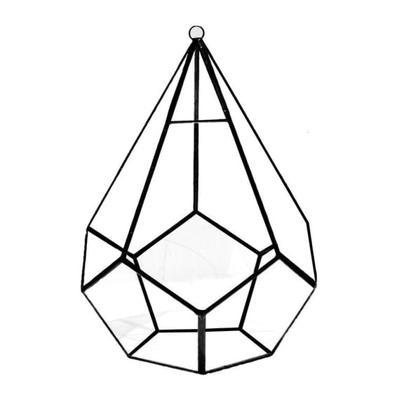 Geometric Glass Terrarium Box Five-sided Rhombus Glass Table Top Display Planter with Swing for