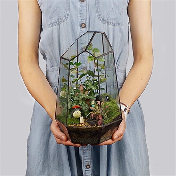 Geometric Glass Terrarium Planter for Succulents, Cactus, Moss & Air Plants, Black Open-Front Tabletop Plant Container, Irregular Prism Glass House, 6.5 x 5.7 x 9.8 in, No Door, No Plants