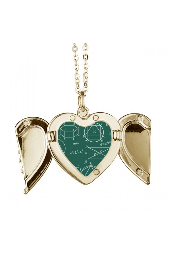 Geometric Mathematical Formula Calculus Folded Wings Peach Heart Pendant Necklace