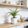 thumbnail image 1 of Geometric Planter Pot With Tray Small Indoor Plant Pots Modern Decorative Flower Pot For Succu*lents Cactus Herbs Green Plants Home Office Desk Window Sill Garden Decor, 1 of 6