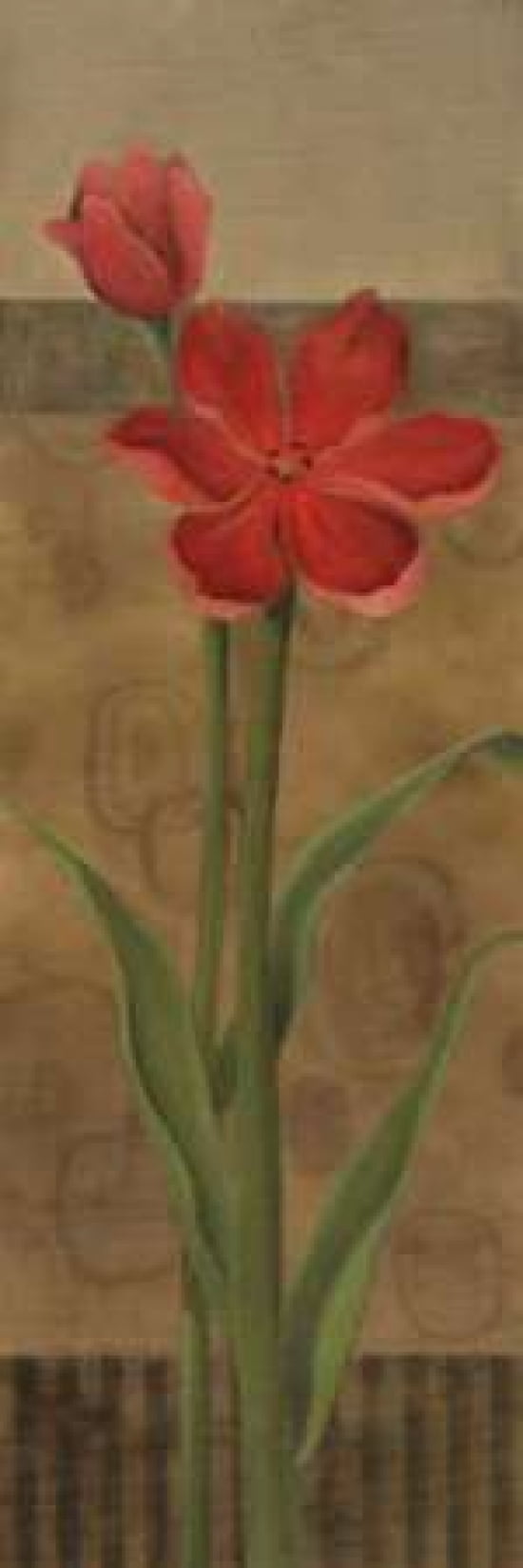 Geometric Poppy II Canvas Art - Carol Robinson (12 x 36)