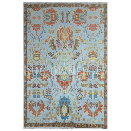 Geometrical hand-Knotted Serapi Area Rug 9X12 Handmade Home Decor Area Rug M Blue, Lt Brown, Rust, Beige, Yellow, Peach,