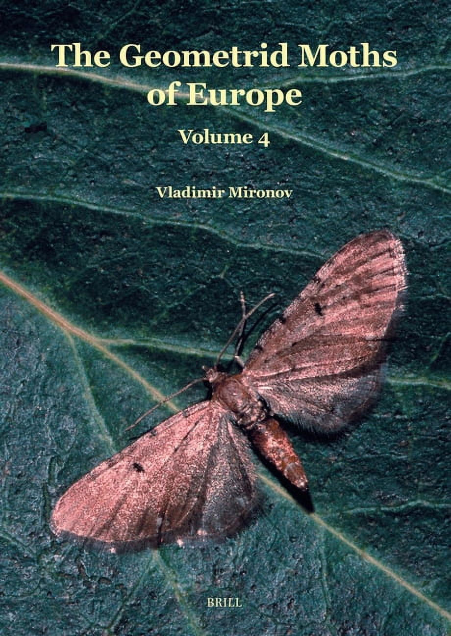 Europe Moth Geometrid Moths of Europe Larentiinae II: (Perizomini and Eupitheciini ...