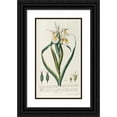 thumbnail image 1 of Georg Dionysius Ehret 12x18 Black Ornate Wood Framed Double Matted Museum Art Print Titled - Iris (1750-1773), 1 of 5