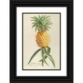 thumbnail image 1 of Georg Dionysius Ehret 13x18 Black Ornate Wood Framed Double Matted Museum Art Print Titled - Pineapple (1750-1773), 1 of 5
