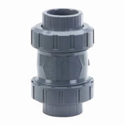 2" Threaded Socket PVC/EPDM Spring Check Valve 161562107