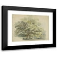 thumbnail image 1 of George Andries Roth 24x19 Black Modern Framed Museum Art Print Titled - Tree Study (1819 - 1887), 1 of 5