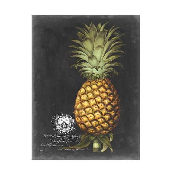 George Brookshaw 'Royal Brookshaw Pineapple I' Canvas Art