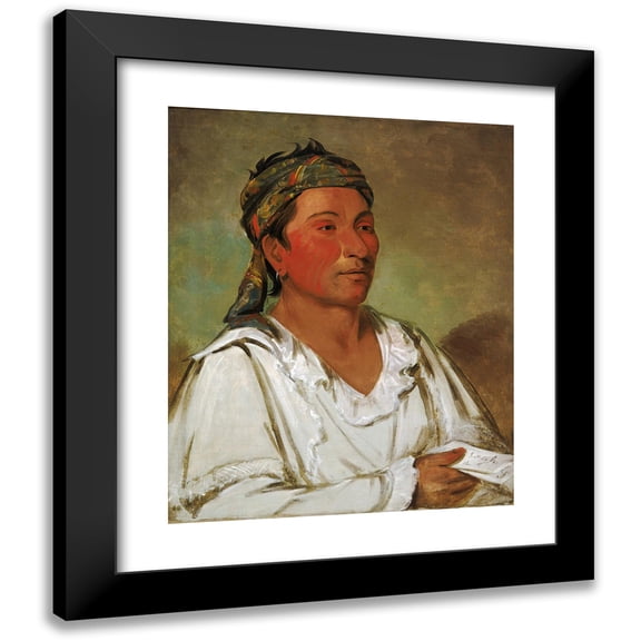 George Catlin 12x14 Black Modern Framed Museum Art Print Titled - Lay-Loo-Ah-Pee-Ai-Shee-Kaw, Grass, Bush, and Blossom, Semicivilized (1830)