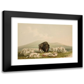 George Catlin 14x11 Black Modern Framed Museum Art Print Titled - Buffalo Hunt, White Wolves Attacking a Buffalo Bull (1844)