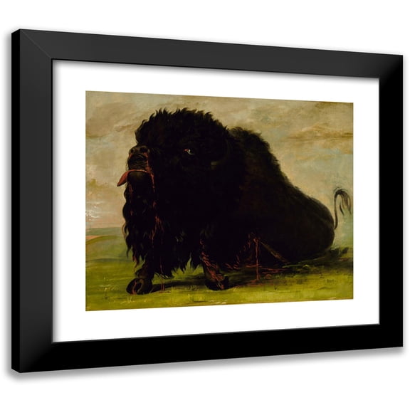George Catlin 14x12 Black Modern Framed Museum Art Print Titled - Dying Buffalo, Shot with an Arrow (1832-1833)
