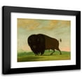 thumbnail image 1 of George Catlin 17x15 Black Modern Framed Museum Art Print Titled - Buffalo Bull, Grazing on the Prairie (1832-1833), 1 of 5