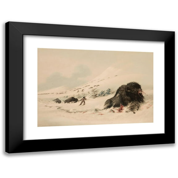 George Catlin 18x13 Black Modern Framed Museum Art Print Titled - Buffalo Bull, in Snow Drift (1844)