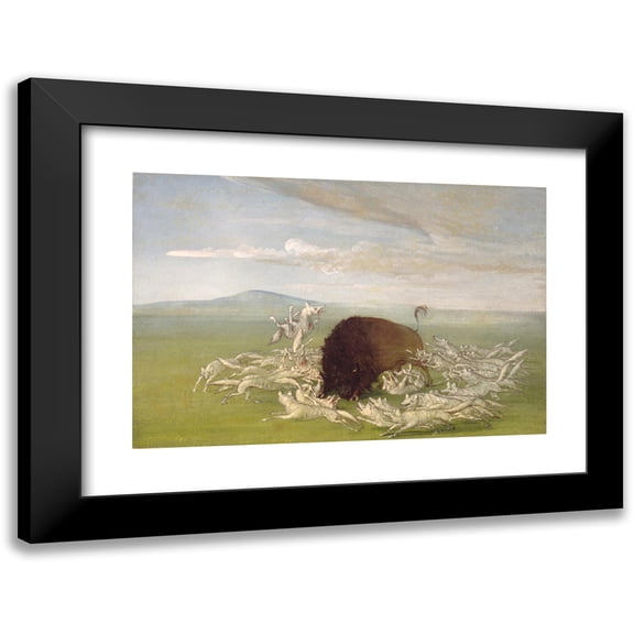 George Catlin 18x13 Black Modern Framed Museum Art Print Titled - White Wolves Attacking a Buffalo Bull (1832-1833)